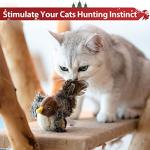 PETGEEK Chirping Bird Plush Toy for Cats