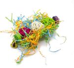 Bird Chewing and Foraging Toys for Parrots