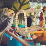 7 Pack Natural Wood Bird Toys for Small Birds