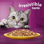 WHISKAS Senior Wet Cat Food Pouches Megapack