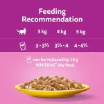 WHISKAS Senior Wet Cat Food Pouches Megapack