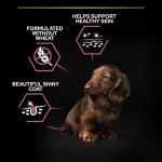 Pro Plan Salmon Dry Dog Food for Sensitive Skin