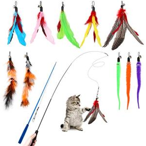 Hianjoo 12-Piece Cat Feather Teaser Toy Set