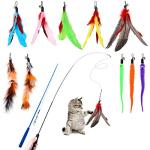 Hianjoo 12-Piece Cat Feather Teaser Toy Set
