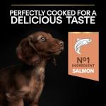 Pro Plan Salmon Dry Dog Food for Sensitive Skin