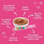 Webbox Salmon Lick-e-Lix Cat Treats 5-Pack