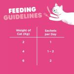Webbox Salmon Lick-e-Lix Cat Treats 5-Pack