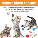 14 Pack Interactive Cat Toys for Indoor Fun