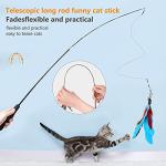 Hianjoo 12-Piece Cat Feather Teaser Toy Set