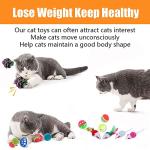 14 Pack Interactive Cat Toys for Indoor Fun