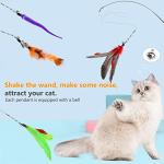 Hianjoo 12-Piece Cat Feather Teaser Toy Set