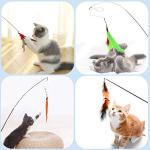 Hianjoo 12-Piece Cat Feather Teaser Toy Set