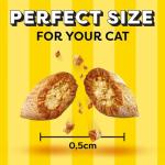 Dreamies Cat Treats, Chicken Flavor, 8 Pouches