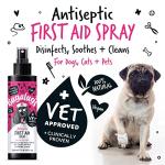 Bugalugs Pet Antiseptic Spray for Dogs & Cats