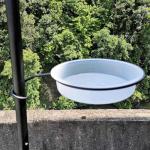 Clear Bird Feeder and Water Bowl Tray