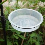 Clear Bird Feeder and Water Bowl Tray