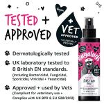 Bugalugs Pet Antiseptic Spray for Dogs & Cats
