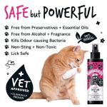 Bugalugs Pet Antiseptic Spray for Dogs & Cats