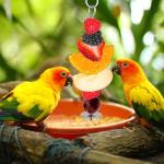 Stainless Steel Bird Cage Food Holders, 2 Pack