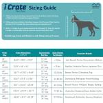 MidWest Double Door 18-Inch Dog Crate with Accessories