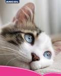 Ancol Ergo Cat Moulting Comb for Long Haired Cats