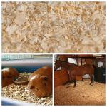 Hadley 18KG Compressed Wood Shavings for Pets