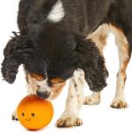 Soft Chew Orange Latex Dog Toy, Small