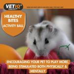 VetIQ Healthy Bites Treat Ball for Small Pets