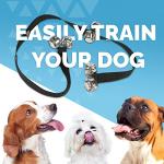 FurDreams Adjustable Dog Training Doorbells with Jingle