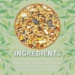 Wild Bird Seed Mix for Small Birds 20kg