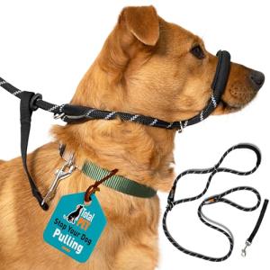 Anti-Pull Dog Lead with Padded Nose Support