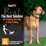 Anti-Pull Dog Lead with Padded Nose Support