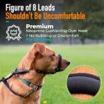 Anti-Pull Dog Lead with Padded Nose Support