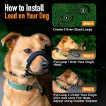 Anti-Pull Dog Lead with Padded Nose Support