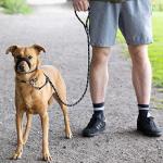 Anti-Pull Dog Lead with Padded Nose Support