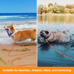 10M Waterproof Dog Lead for Training and Walking
