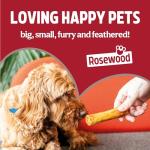Rosewood High Protein Steak Bites for Dogs