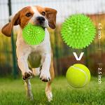 4 Pack Indestructible Squeaky Balls for Dogs