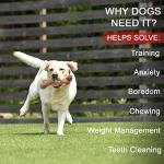 Indestructible Beef Flavor Chew Toys for Dogs