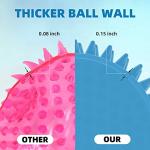 4 Pack Indestructible Squeaky Balls for Dogs
