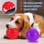 4 Pack Indestructible Squeaky Balls for Dogs