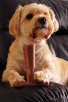 Bamboodles Peanut Butter T-Bone Dog Chew Toy