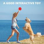 4 Pack Indestructible Squeaky Balls for Dogs