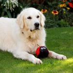 Petface Lindy Ladybird Plush Dog Toy