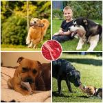 Indestructible Beef Flavor Chew Toys for Dogs