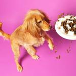 Pooch & Mutt Calm Grain-Free Dog Food, 10kg