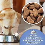 Dr John Silver Chicken & Veg Dry Dog Food 15kg