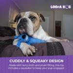 Loofa Squeaky Dog Toy