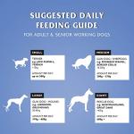 Dr John Silver Chicken & Veg Dry Dog Food 15kg