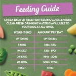 Harringtons Grain Free Meaty Dog Food Bumper Pack